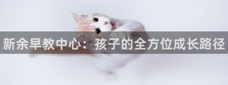 天顺娱乐晌943994:新余早教中心:孩子的全方位成长路径