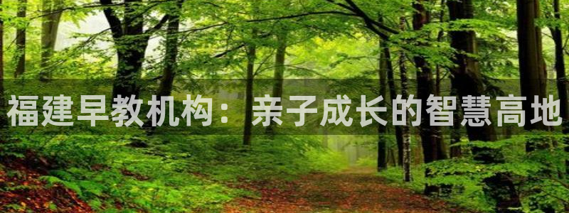 天顺娱乐乃67五壹叁八:福建早教机构:亲子成长的智慧高地