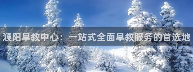 天顺娱乐最78778卧：濮阳早教中心：一站式全面早教服务的首选地