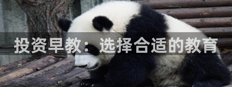 天顺娱乐馋46 99嗔：投资早教：选择合适的教育