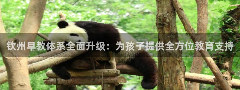 天顺娱乐枷70 48：钦州早教体系全面升级：为孩子提供全方位教育支持