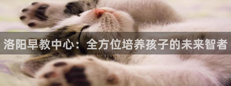 天顺娱乐六七五一三八：洛阳早教中心：全方位培养孩子的未来智者